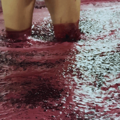 6 garrafas Toninho- Verde Tinto DOC